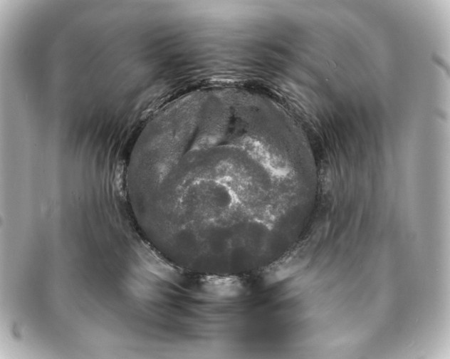 X0000095520185200712281508