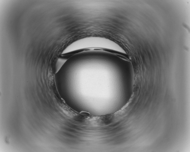 X0000095520186200712281508