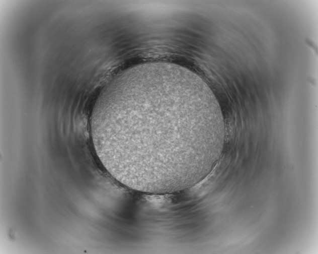 X0000095520187200712281508