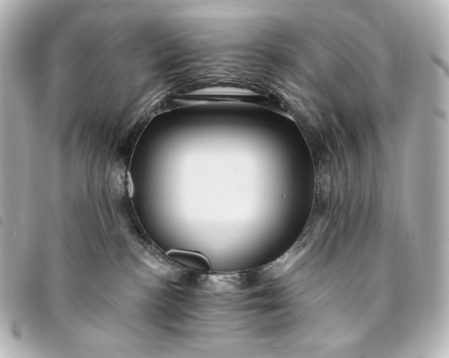 X0000095520188200712281508