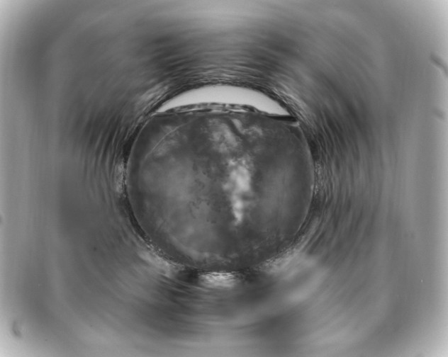 X0000095520189200712281508