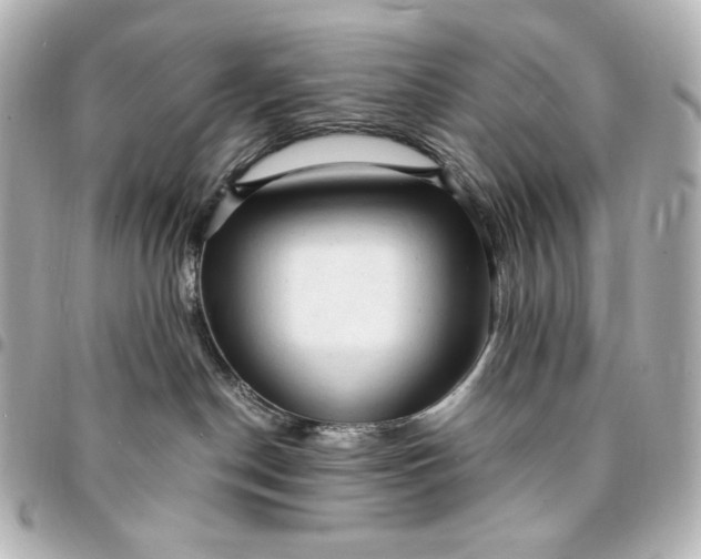 X0000095520190200712281508