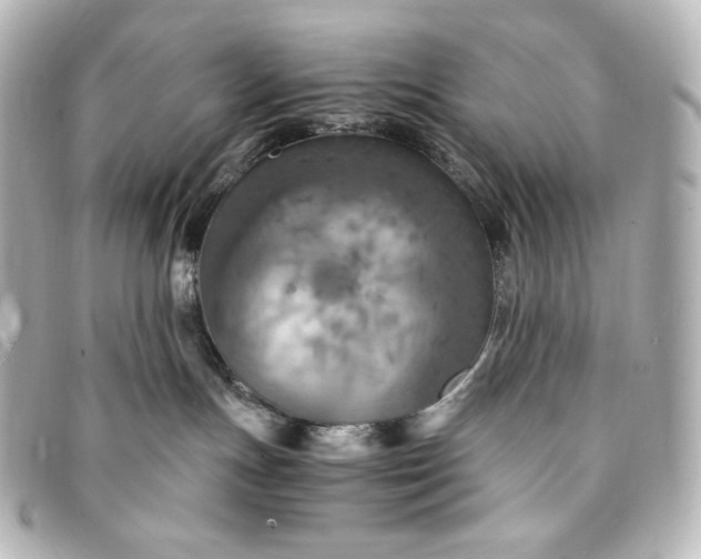 X0000095520191200712281508