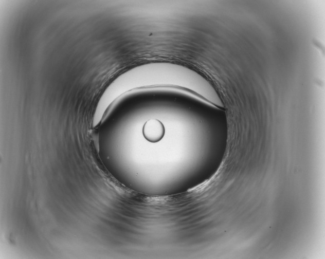 X0000095520192200712281508