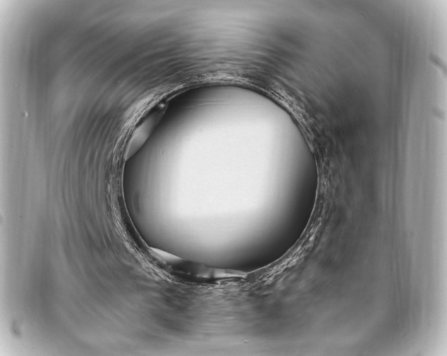 X0000095520193200712281508