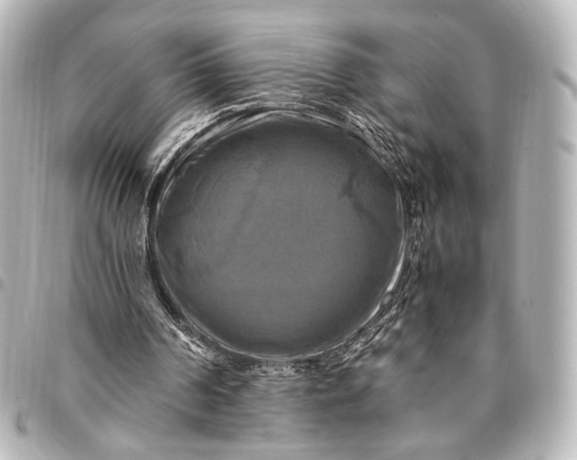 X0000095520194200712281508