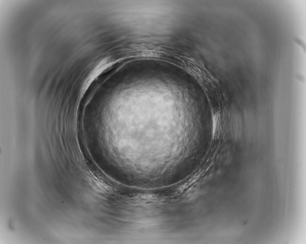 X0000095520195200712281508