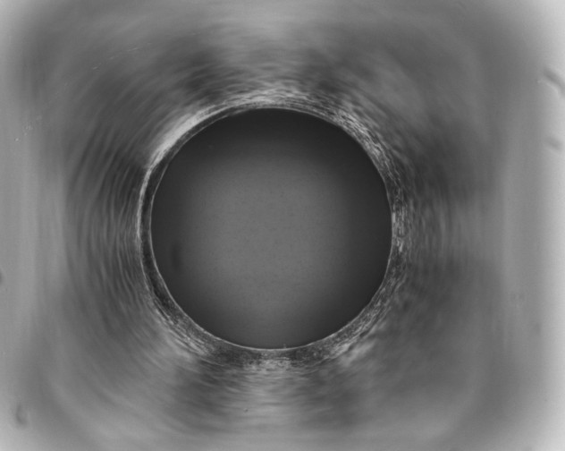 X0000095520196200712281508