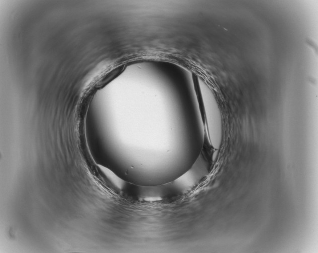 X0000095520197200712281508