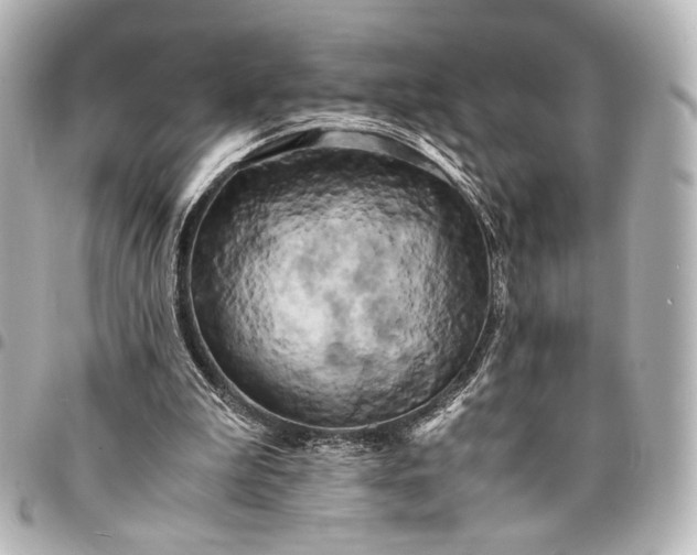 X0000095520199200712281508