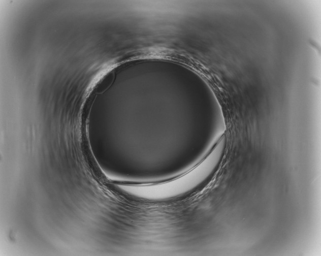 X0000095520200200712281508