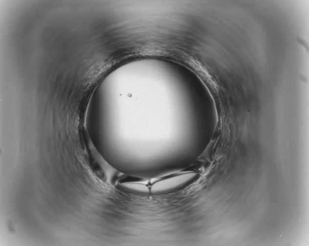 X0000095520201200712281508