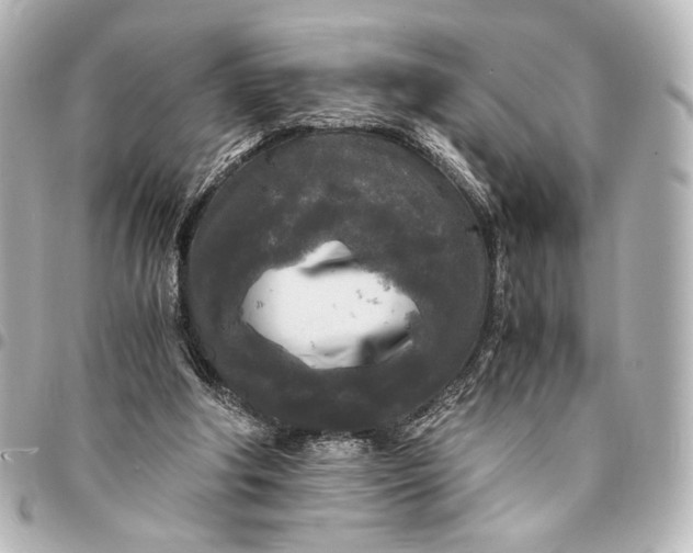 X0000095520202200712281508