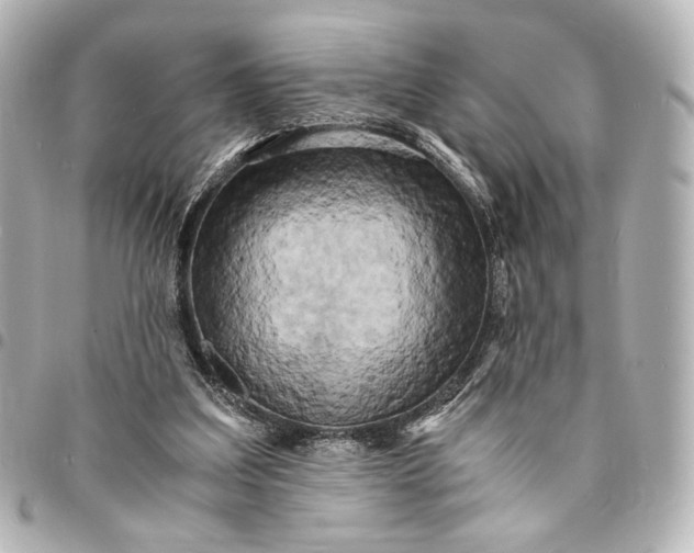 X0000095520203200712281508