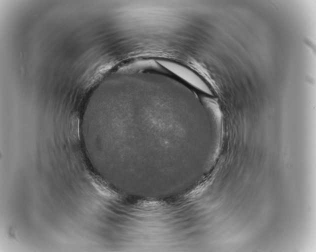 X0000095520205200712281508