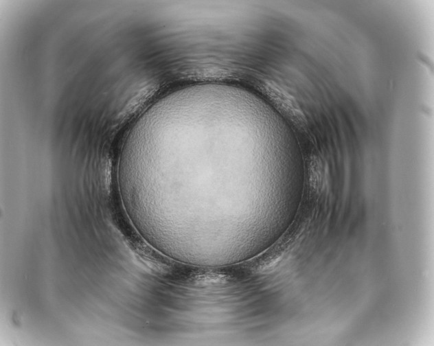 X0000095520206200712281508