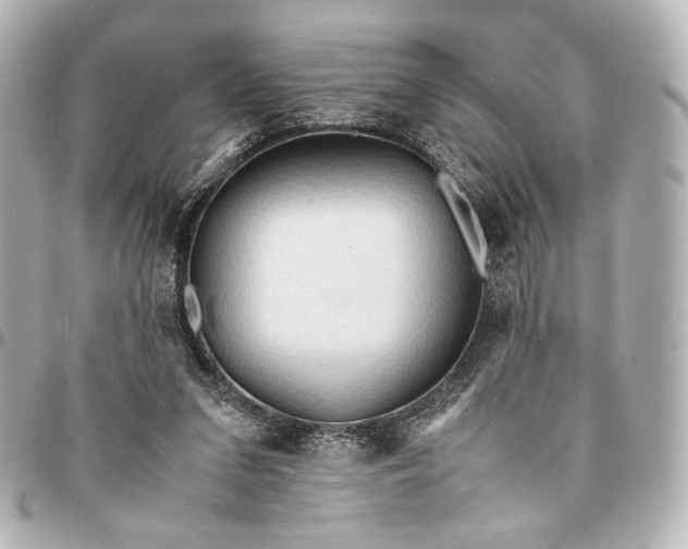 X0000095520207200712281508