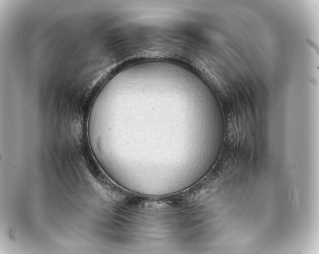 X0000095520208200712281508