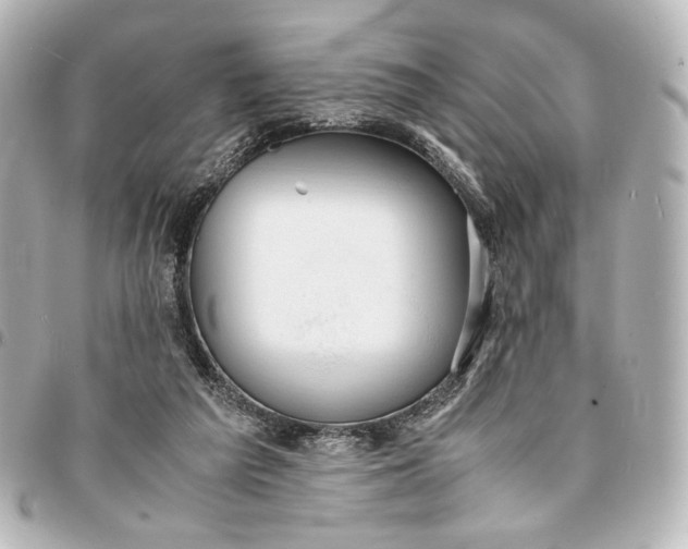 X0000095520209200712281508