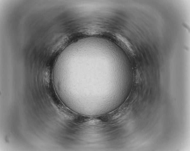 X0000095520210200712281507