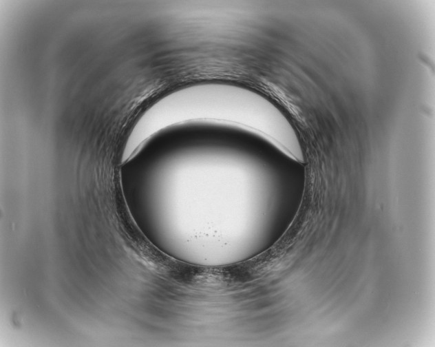 X0000095520211200712281507