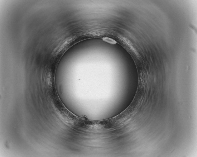 X0000095520212200712281507