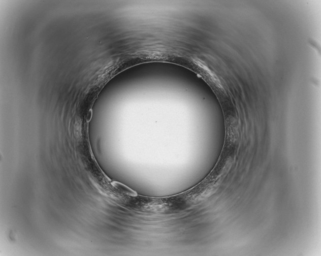 X0000095520213200712281507