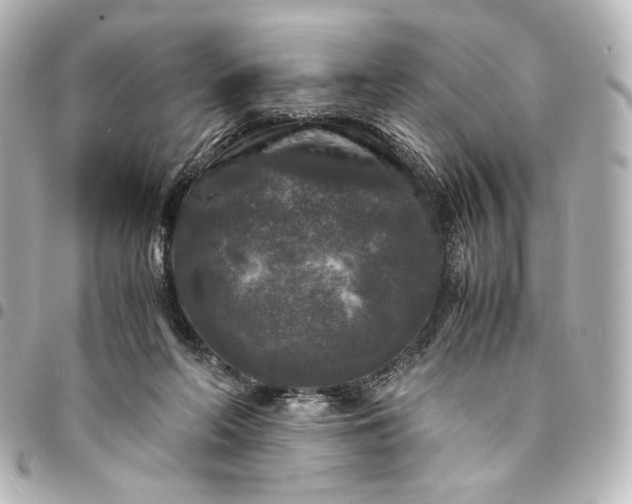 X0000095520214200712281507