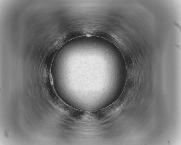 X0000095520215200712281507