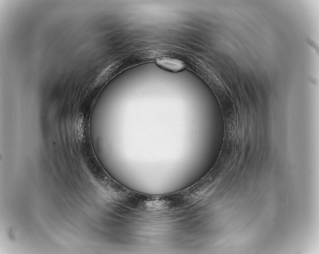 X0000095520216200712281507