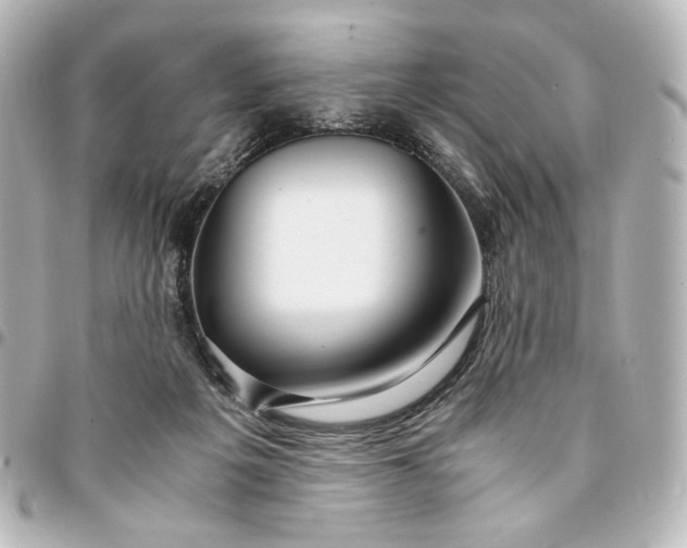 X0000095520217200712281507