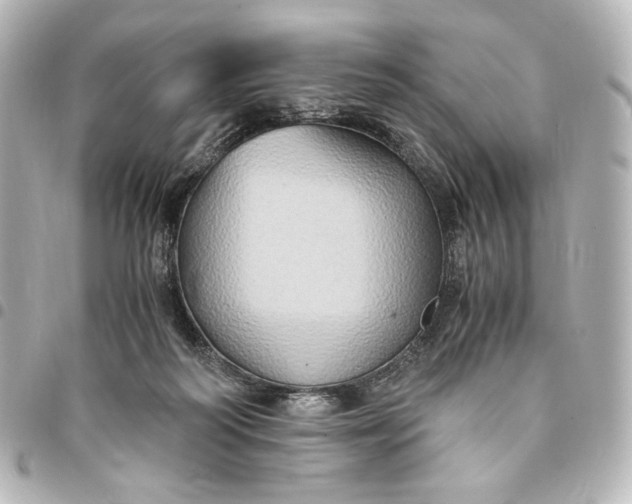 X0000095520218200712281507