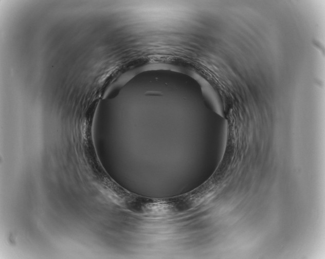 X0000095520219200712281507