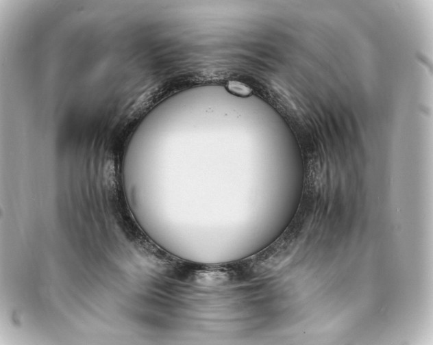 X0000095520220200712281507