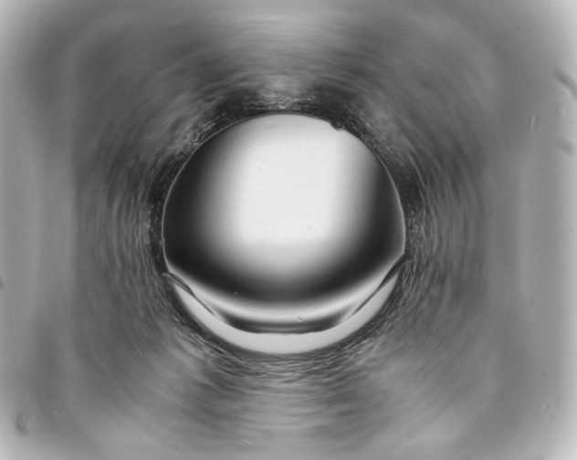 X0000095520221200712281507