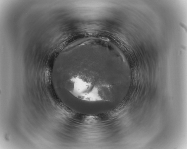 X0000095520222200712281507