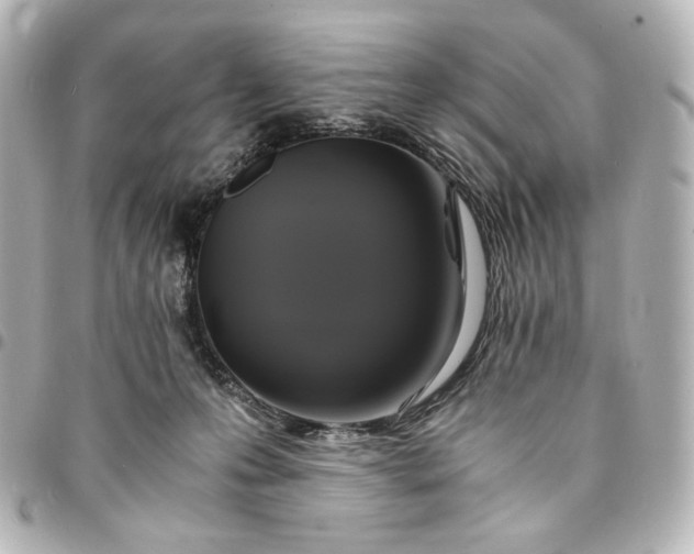 X0000095520223200712281507