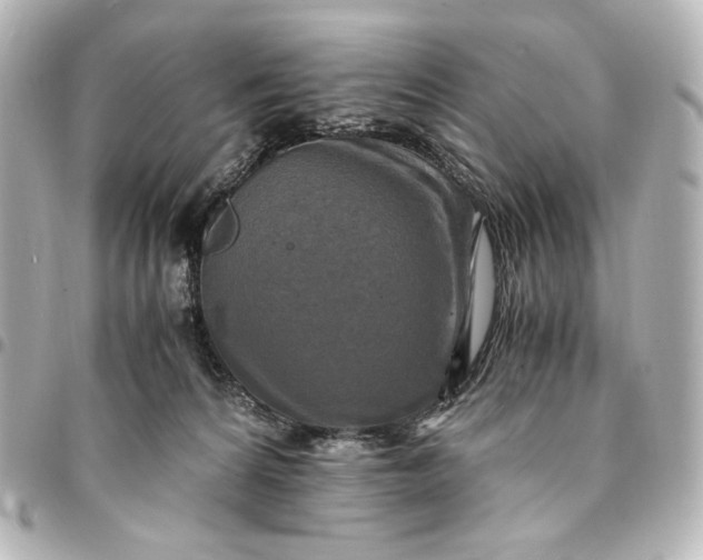 X0000095520224200712281507