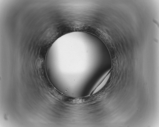 X0000095520225200712281507