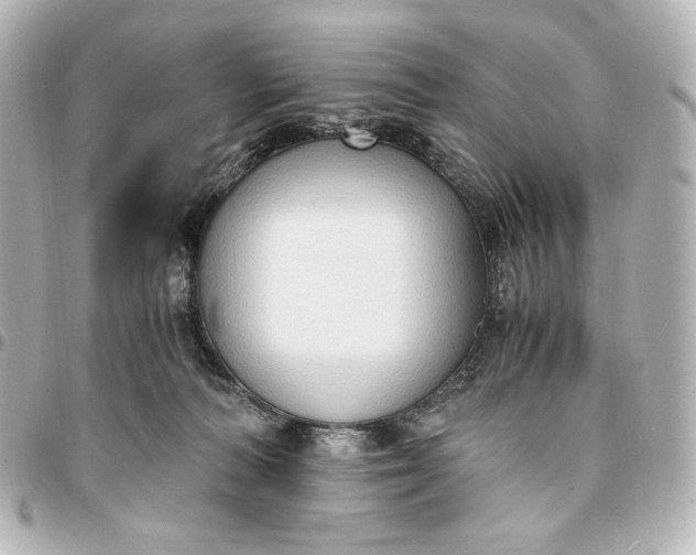 X0000095520226200712281507