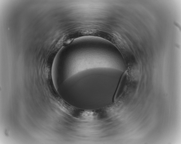 X0000095520227200712281507