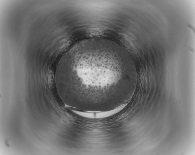 X0000095520228200712281507