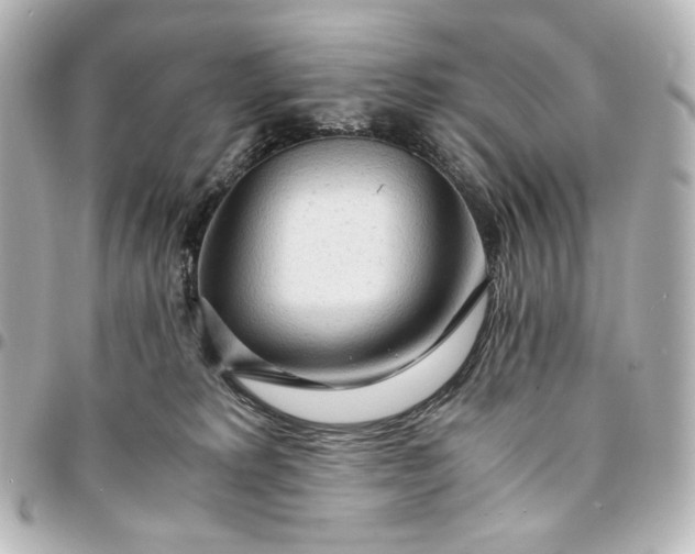 X0000095520229200712281507