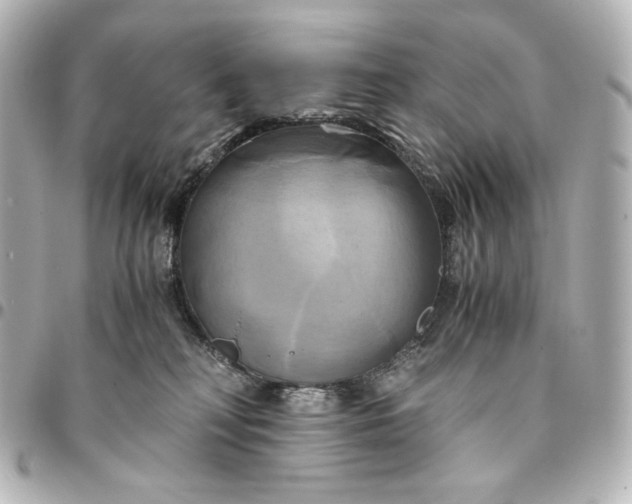 X0000095520230200712281507