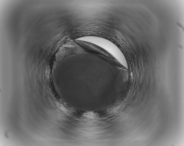 X0000095520231200712281507