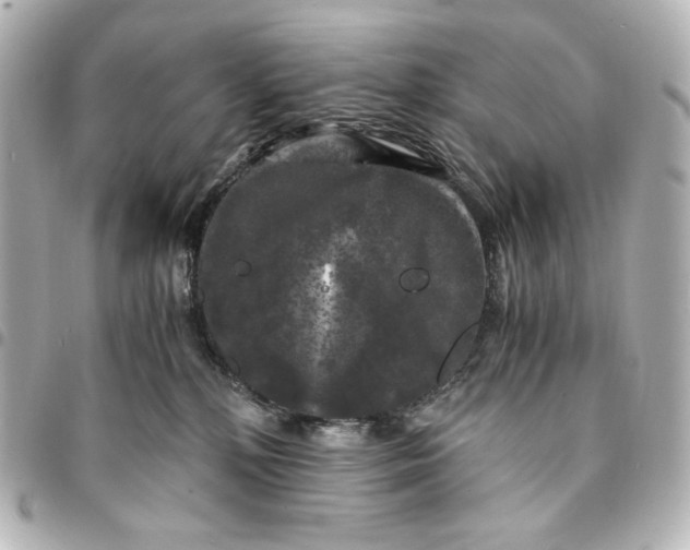 X0000095520232200712281507