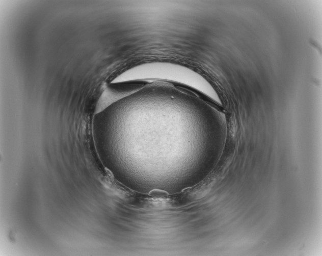 X0000095520233200712281507