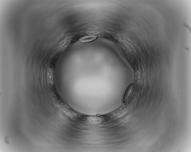 X0000095520234200712281507