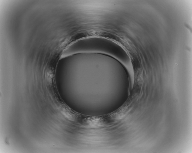 X0000095520235200712281507