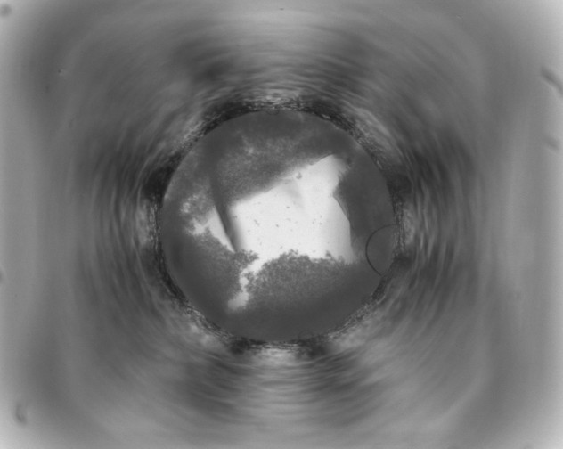 X0000095520236200712281507